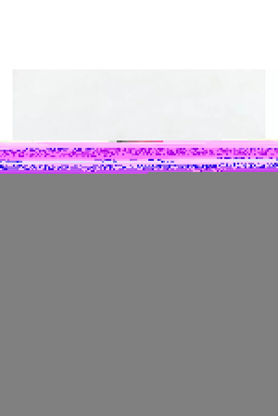 Paslanmaz 13 Litre Parafin Kazanı