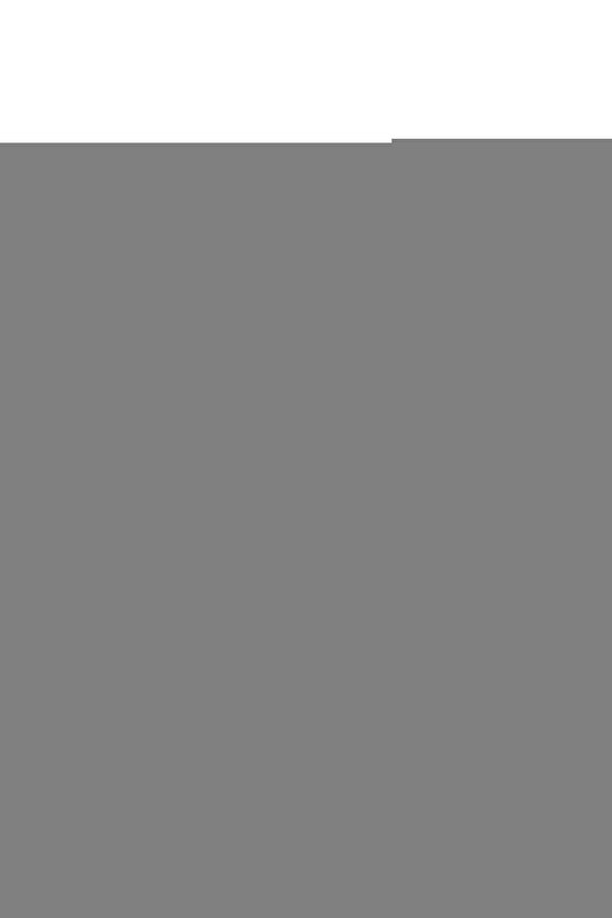 Uzunluk Ayarlı Herdegen Progress 2 Kanedyen Baston - Değnek Alüminyum 1