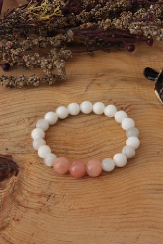 PR-450 Alüminyum Frenli Walker