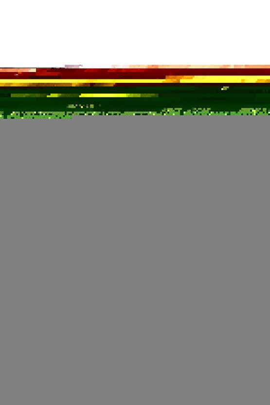 Çorap Giyme Aparatı