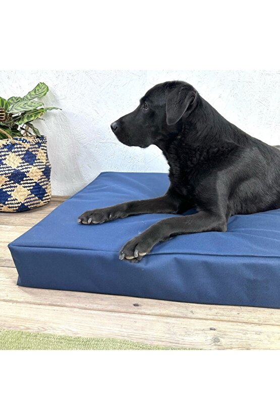 Büyük, ortopedik köpek yatağı, lacivert, 60x120, konforlu ve şık tasarım