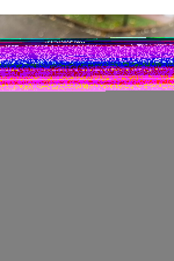 Alçı Botu 39-42 Numara Ayak İçin medium beden
