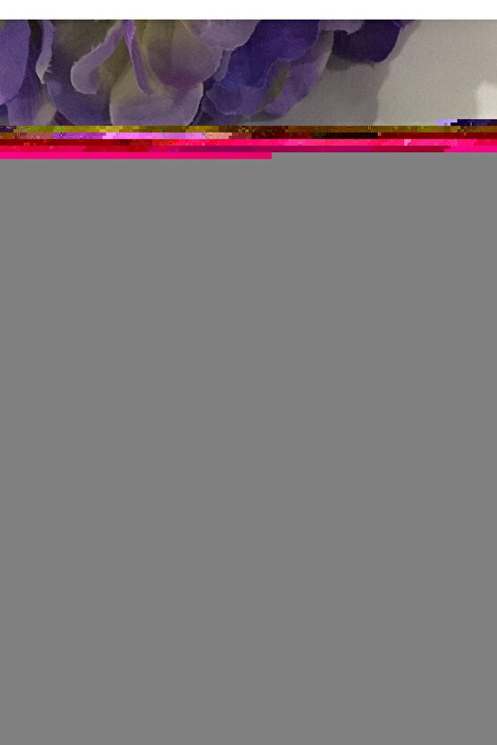 Sağlık Tuvalet Sandalye