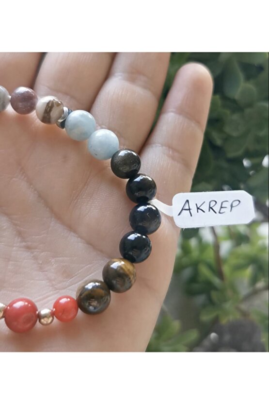 Akrep Burcu Bilekliği