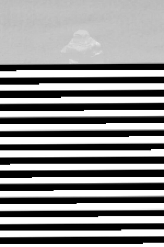 Kedi Köpek Yatağı Püsküllü