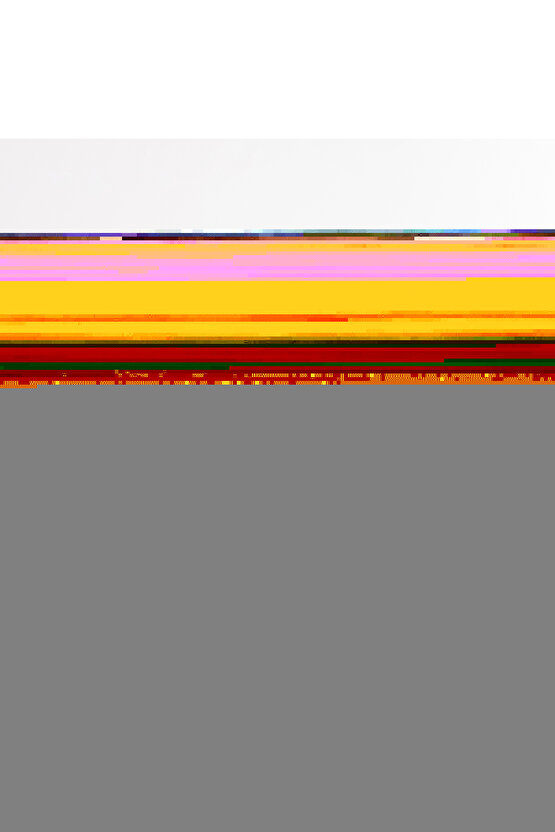 Metal Köpek Oyun Alanı 6 Parça Siyah 75x70 Katlanabilir