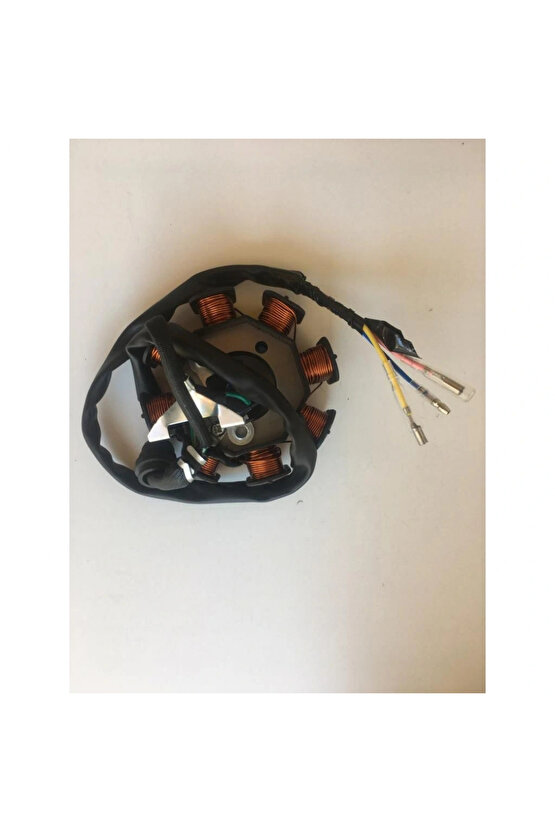 Cg 125 150 200 Statör Komple 3 Kablo