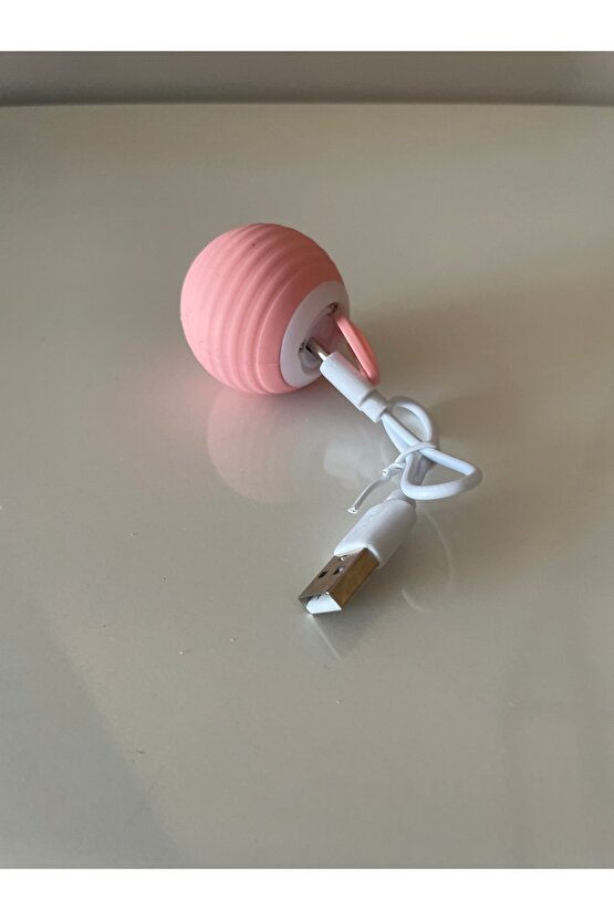 Kedi&Köpek Oyun Topu Titreşimli Işıklı Şarjlı Otomatik Hareketli Yeni Nesil Oyuncak