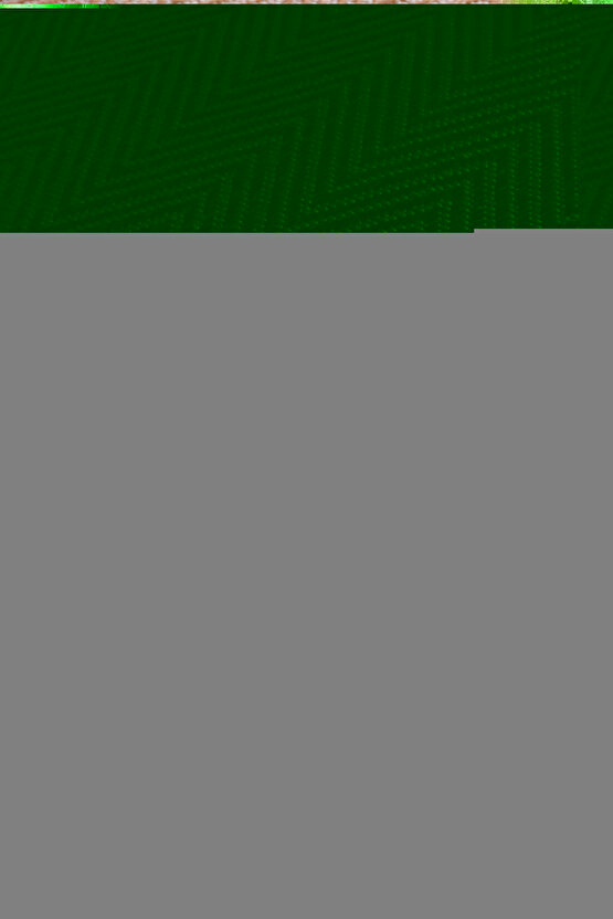 19+1 HDMI TO HDMI 1.5M V2.0 4K (3840*2160) 60HZ KABLO SL-HDM4K011 (4738)