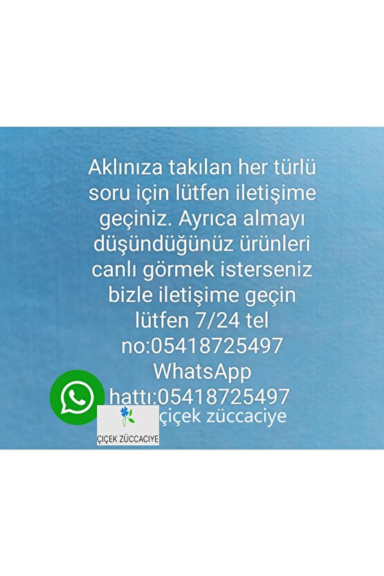 Silikon Mini Muffin Kek Kalıbı 12 Li