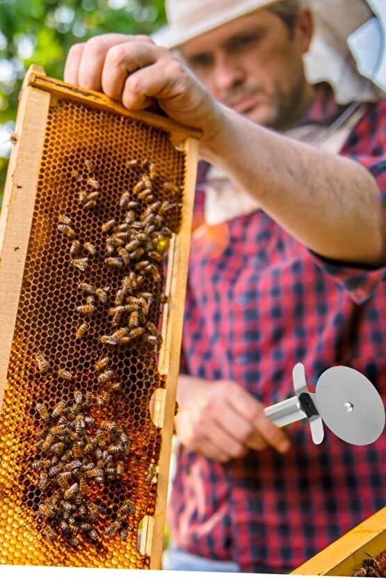 22 Cm Büyük Paslanmaz Çelik Pizza Ruleti