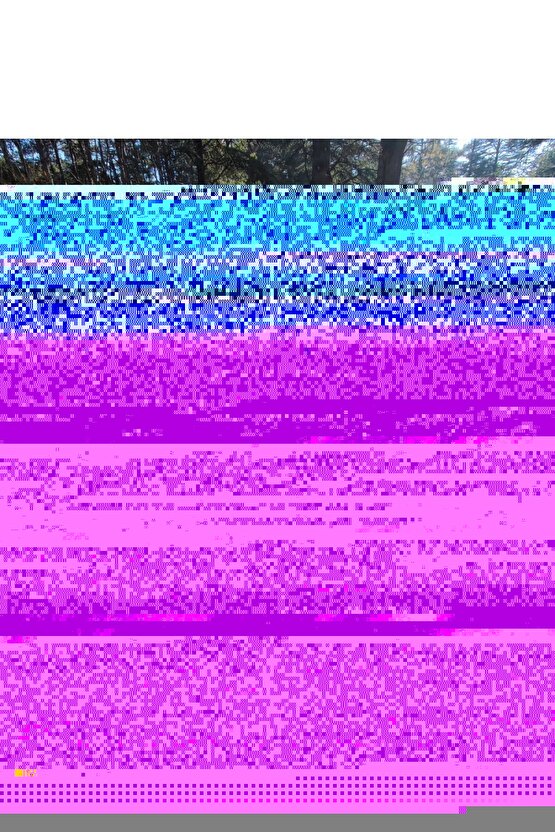 Toshiba uyumlu Satellite C855-1EE C855-1EF C855-1GN Lcd Ekran Data Kablosu  1.Versiyon