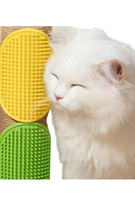 Evcil Hayvan Kedi Köpek Tüy Toplayıcı ve Köşe Kaşınma Silikon Fırçası Renkli