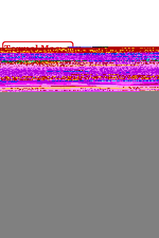 3 Parça Tel Fırça Detaylı Temizlik Seti
