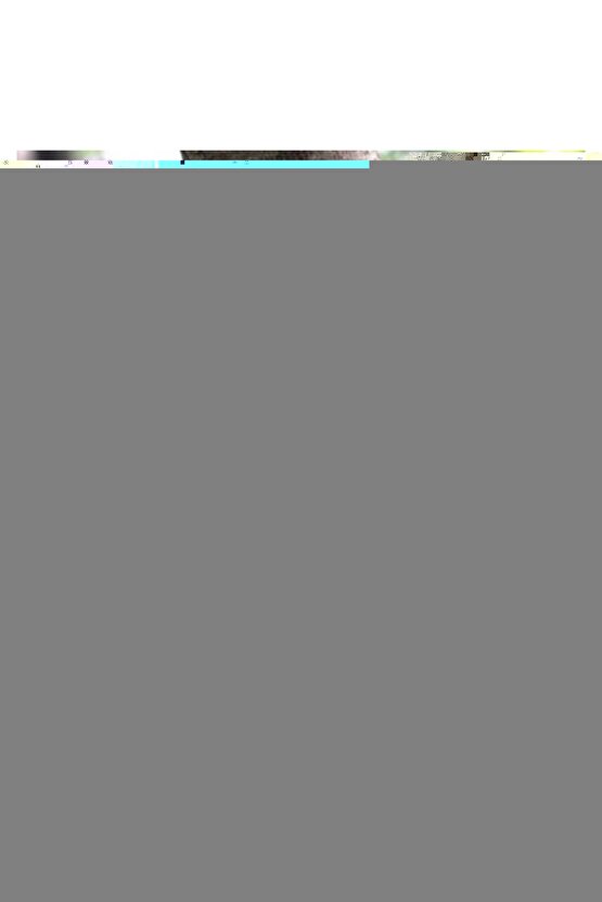 Testere - Cep Tipi Tel Testere  Ahşap Testeresi Budama Bıçkı (4352)