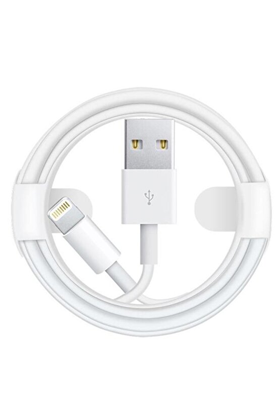 Powermaster Pm-18297 IosIphone Serisi Lightning Usb Şarj Ve Data Kablosu 1 Metre