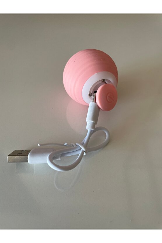 Kedi&Köpek Oyun Topu Titreşimli Işıklı Şarjlı Otomatik Hareketli Yeni Nesil Oyuncak