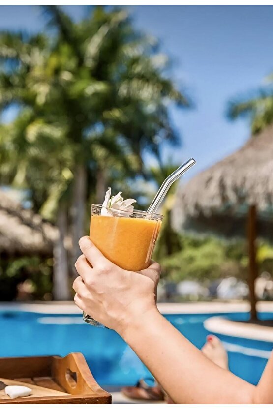 Sunum Bardağı Pipeti Şık Tasarım Modern Cam Pipet 6 Adet AXE11A-1Y5