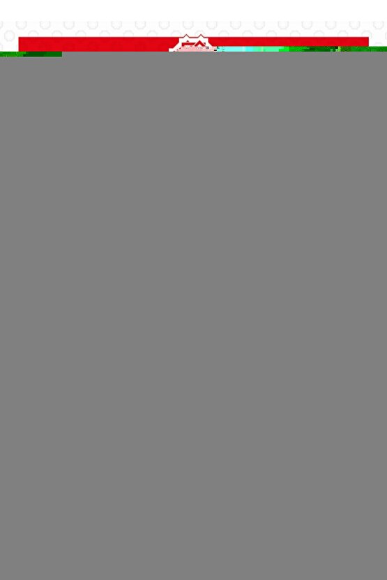 8li Pmr 446 Türkçe Konuşan El Telsizi Wln