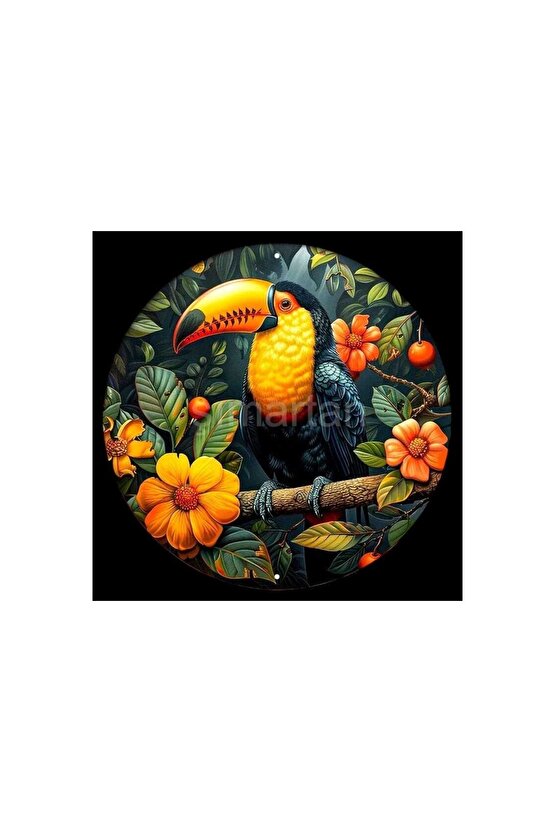 Şans Getirdiğine İnanılan , Uğurlu Tukan Kuşu Duvar Süsü, Dekoratif Duvar Süsü