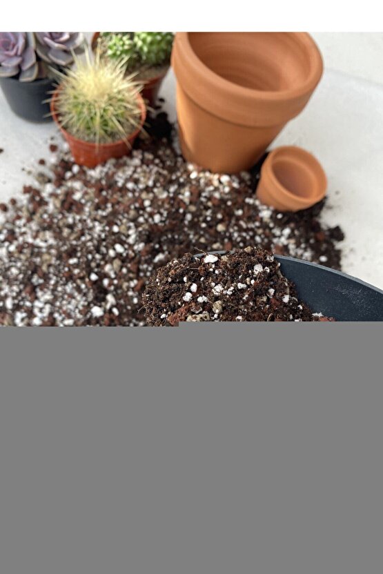 Panax Ginseng 500 mg 60 Kapsül