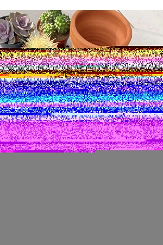 Panax Ginseng 500 mg 60 Kapsül