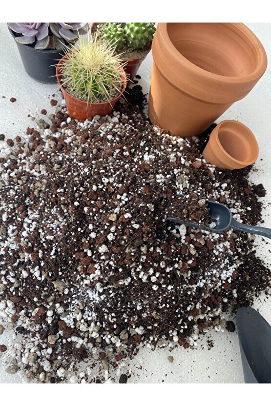 Kaktüs Sukulent Toprağı 10litre Ithal Torf 5 Karışımlı Teraryum Toprak Cocopeat Perlit Lav Deretaşı