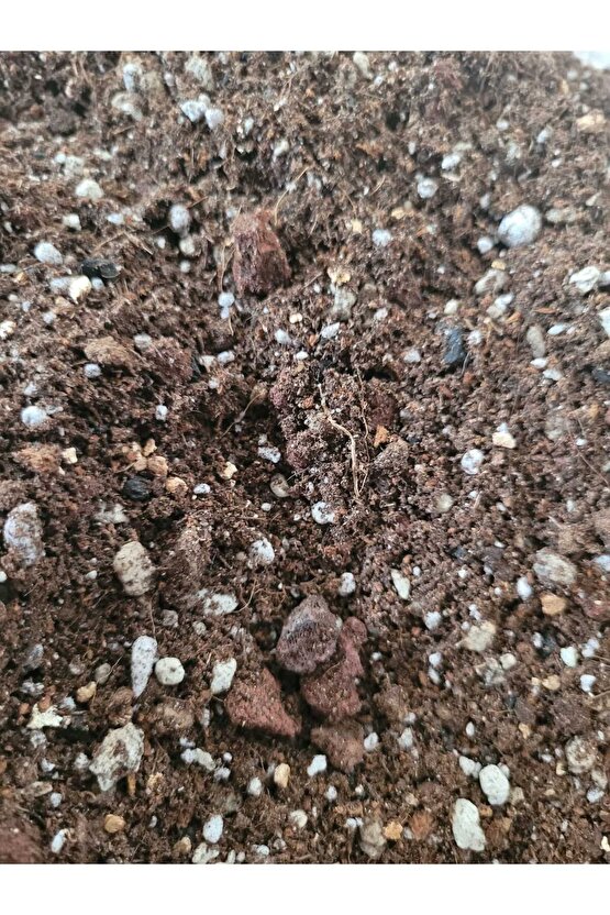 Kaktüs Sukulent Toprağı 2 lt  Yüksek Kalite İthal Torf Karışımlı