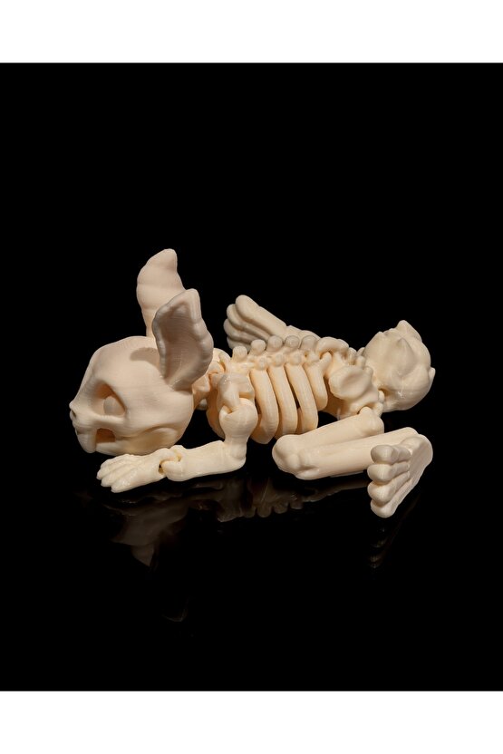İskelet Tavşan (iskelet koleksiyonu)