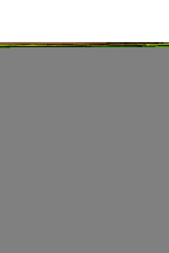 Hasta Çevirme Aparatı Sert Sünger