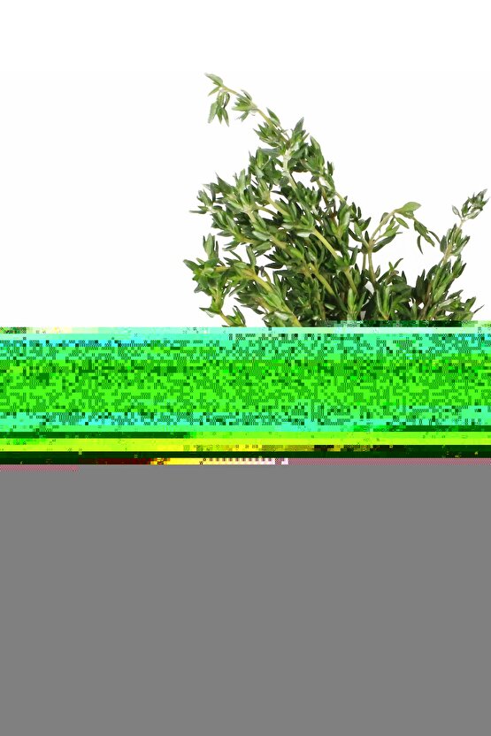 Bitter Draje Şekerleme-tatlandırıcı Içermez -doğal Şeker Pancarı Kullanılmıştır (300 GR)