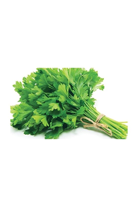 MOLY Bahçe & Ev Oturma Seti, Ayak Ucu Puf, Sırt Minderi, Oturma Minder 3 Parça