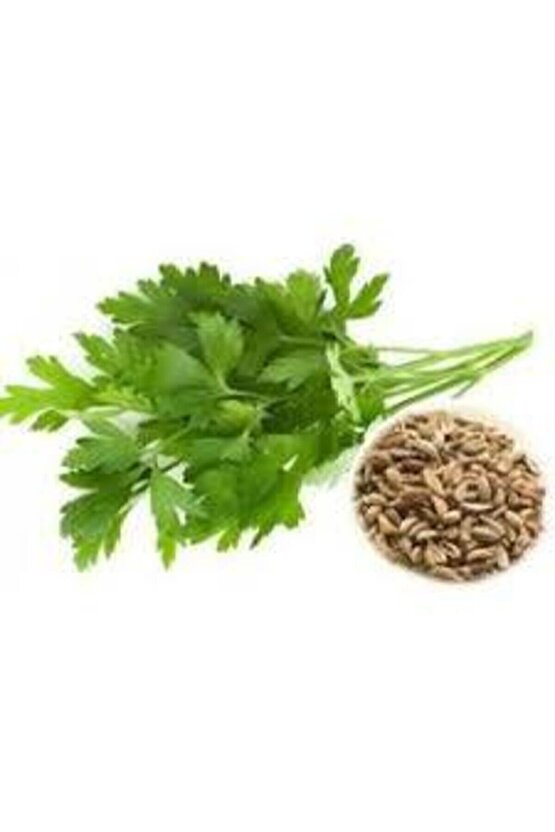 Cool Mattress Süper Lüx Yaz & Kış Kullanımlı Pocket Yaylı Yatak