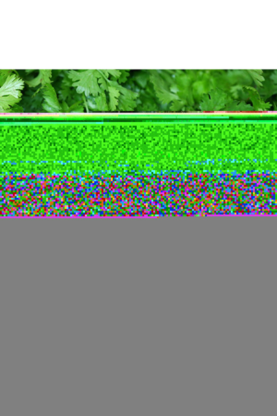 Angel Süper Lüx Ortopedik Pedli Yatak & Pocket Yaylı Konfor Yatak