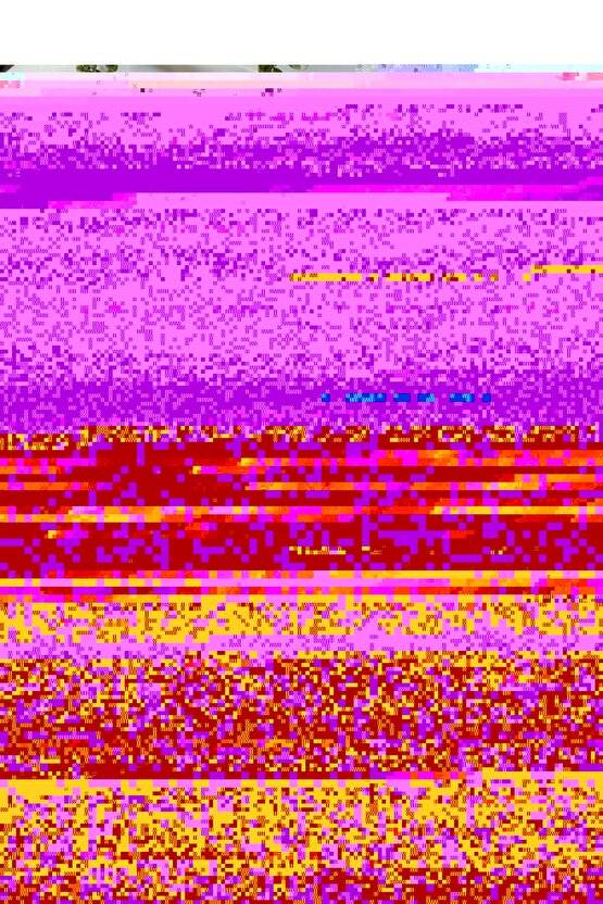 8. Sınıf Güçlendiren 32 Haftalık İngilizce Kazanım Denemeleri  Ankara Yayıncılık  9786258149142