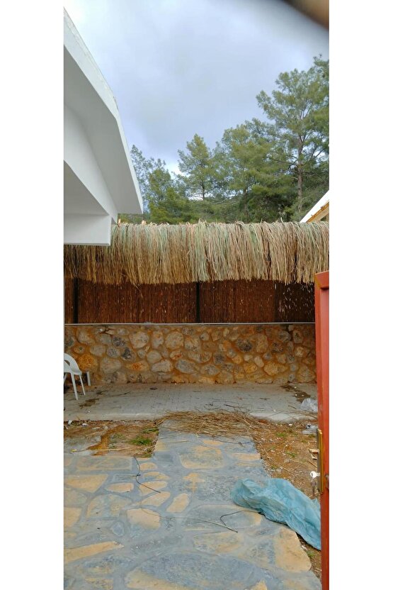 Dekoratif Doğal Püskül Otu, Saçak Otu  Saçak Otu Yükseklik 100 cm x Genişlik 2 Metre