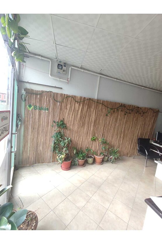 2Metre x 6Metre Eber Gölünden Bambu Kamış Hasır Çit, Gölgelik Bahçe ve Balkon Çiti Misina Örgü