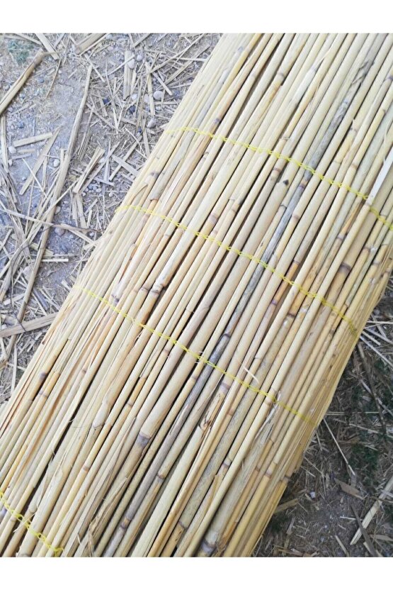Kamış Hasır Kargı 2 X 5
