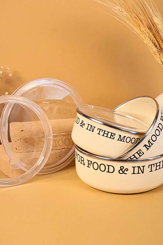 3lü Vintage Emaye Saklama Kabı Seti Mutfak Dekoratif Kase Takımı