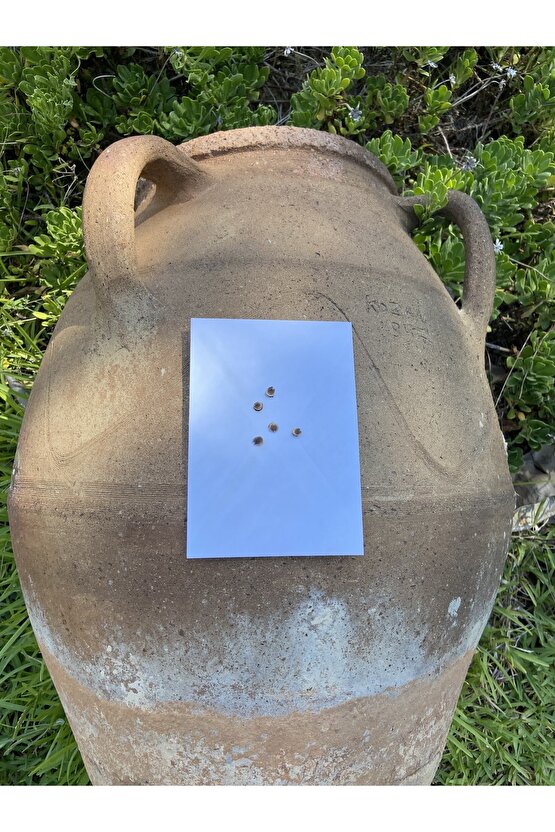 Sıklamen Rengi Hatmi Çiçeği Tohumu 5 Adet