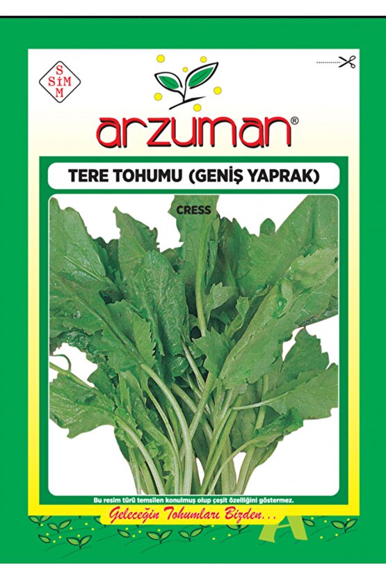 Tere Tohumu Geniş Yaprak 10gr