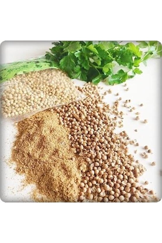 Kişniş Tohumu (AŞ OTU) 25 gram