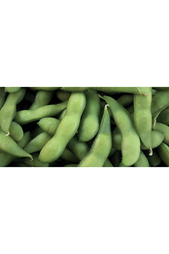 Yerli Soya Fasulyesi Tohumu 25 Gr