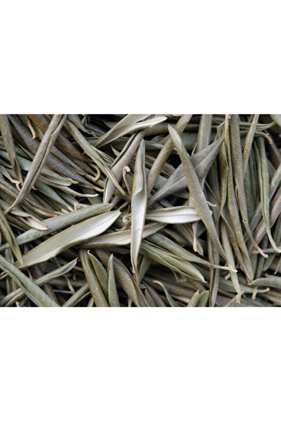 Dogal Zeytin Yaprağı Kurusu 100 Gr.