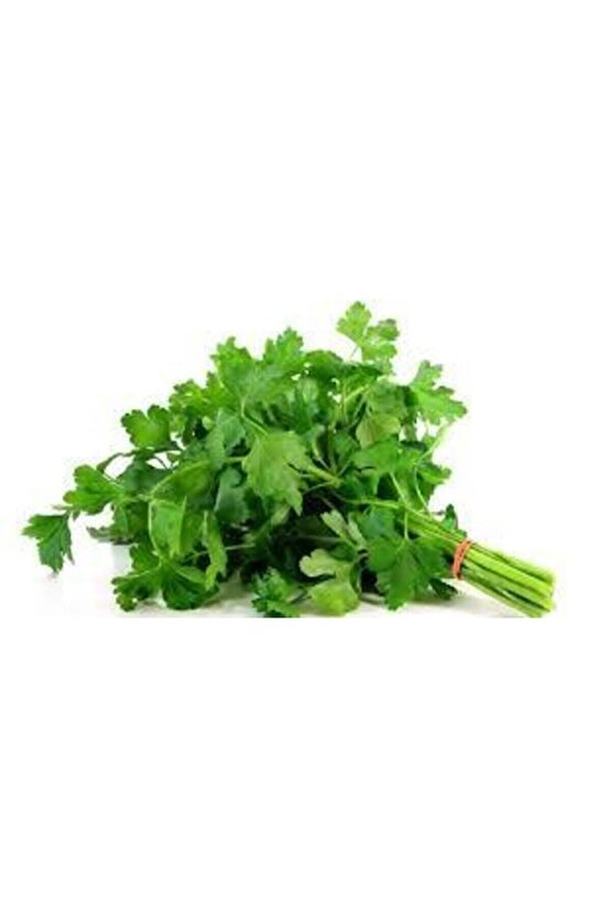 50 Adet Tohum Geniş Yaprak Maydanoz Maydonoz Tohumu Sürpriz Hediye Sebze Tohumu