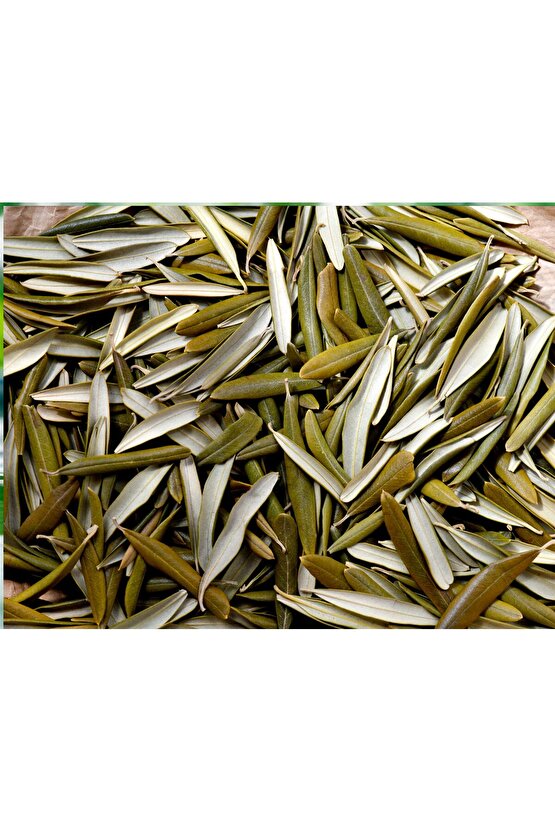 Kurutulmuş Egeden Zeytin Yaprağı 50 gr