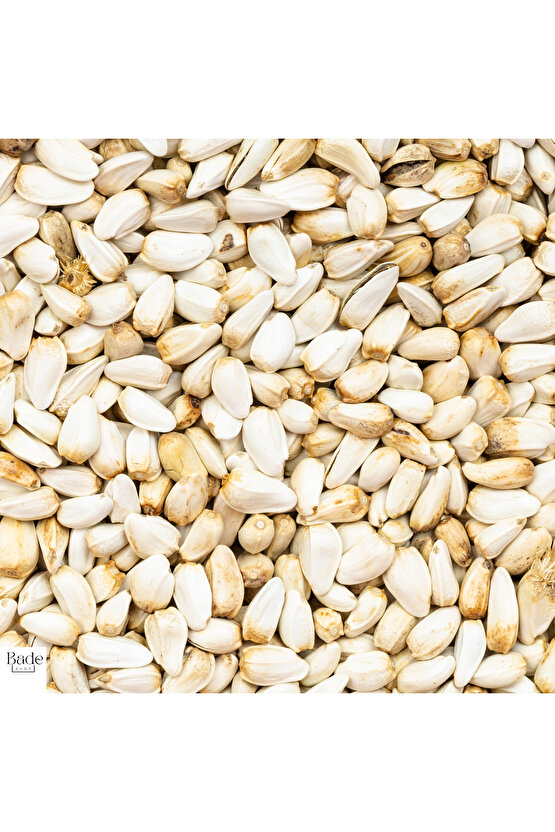 100 Gram - Omega 6 Kaynağı Aspir Tohumu - (Tavuk - Güvercin ve Papağanlarınız İçin)