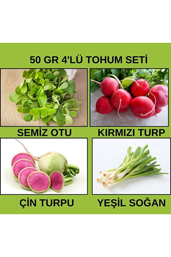 50 Gr  - 4 Çeşit  Sebze Tohumu (SEMİZ OTU,KIRMIZI TURP,YEŞİL SOĞAN,ÇİN TURPU)