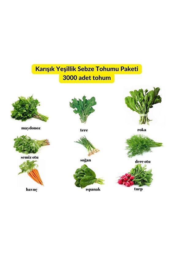 9 Çeşit Karışık Sebze Ve Yeşillik Tohum Paketi - 4000 Adet Tohum