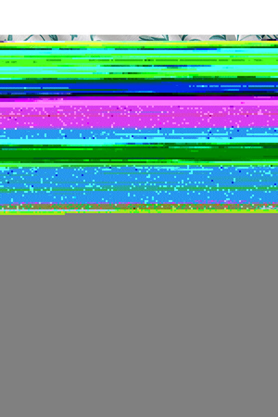 Doğal Gün Batımı Manzaralı Kanola Tarlası Tuval Tablo